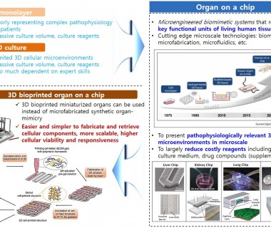 3D Bioprinted Organ-on-a-chip