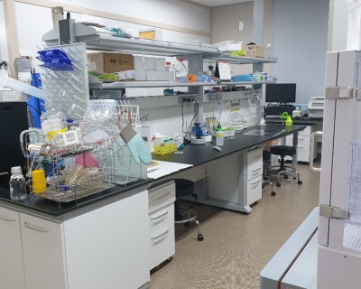 our lab (1)