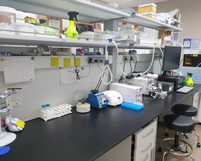 our lab (2)